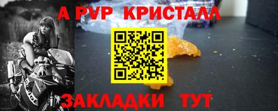 стафф Донской