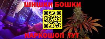 стафф Донской
