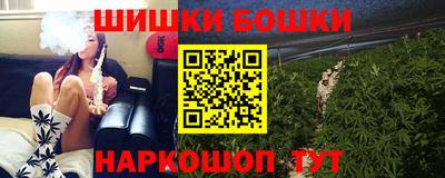 дмт Дубна