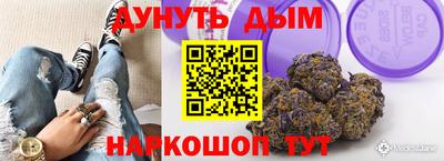 дмт Дубна